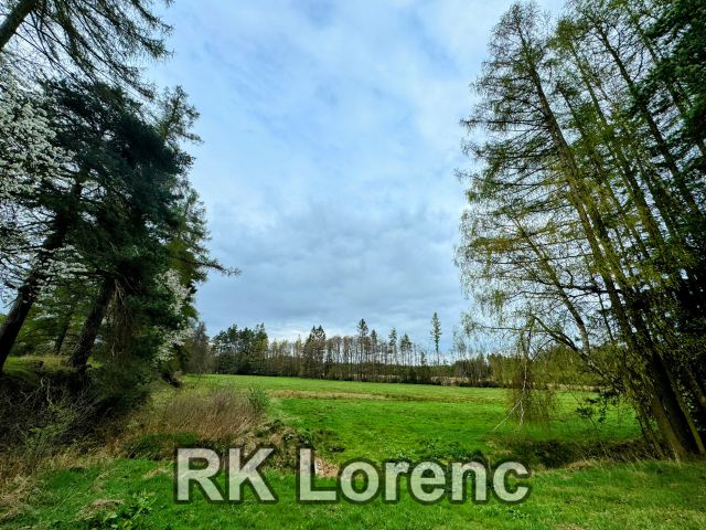                         Prodej pozemku v&nbsp;blízkosti obce Radostín nad Oslavou                      