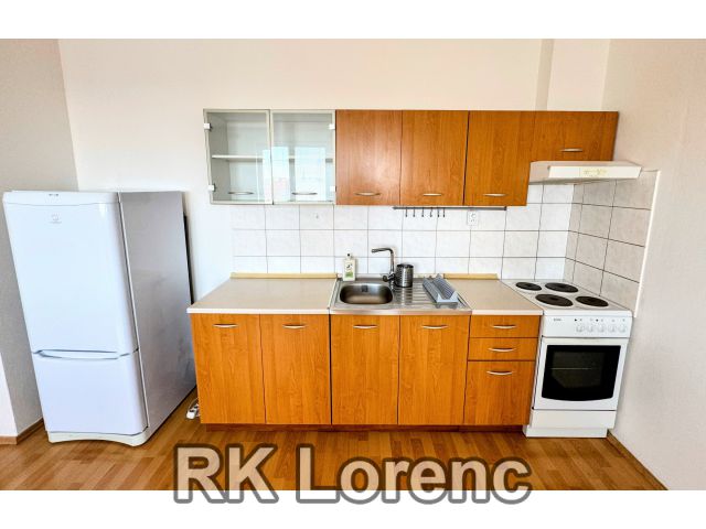                         Pronájem pěkného bytu 1+kk&nbsp;s&nbsp;park. stáním na&nbsp;ul.Trýbova - Staré Brno                      