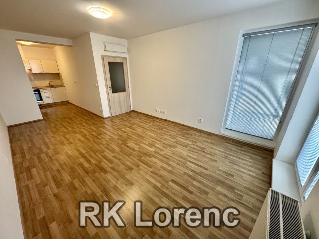                         Pronájem bytu s&nbsp;balkónem 2+kk&nbsp;na&nbsp;ul.Lidická - Centrum                      