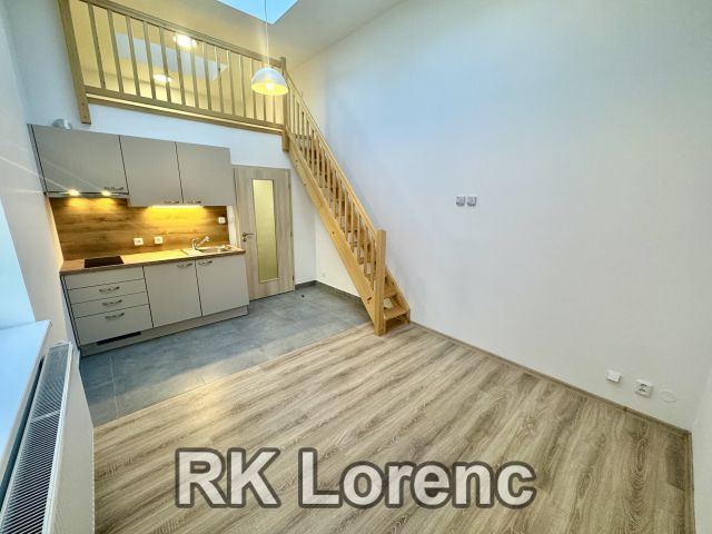                         Pronájem bytu 1+kk&nbsp;s&nbsp;mezonetovým spaním ve&nbsp;vnitrobloku na&nbsp;ul.Lidická - Centrum                      