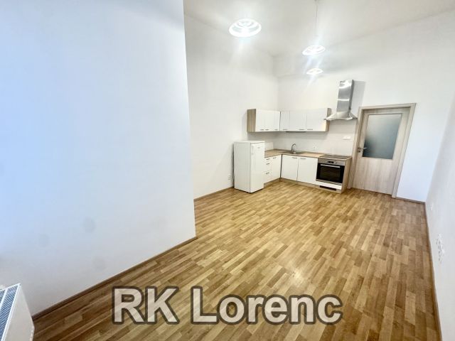                         Pronájem bytu 1+kk&nbsp;na&nbsp;ul. Lidická - Centrum                      